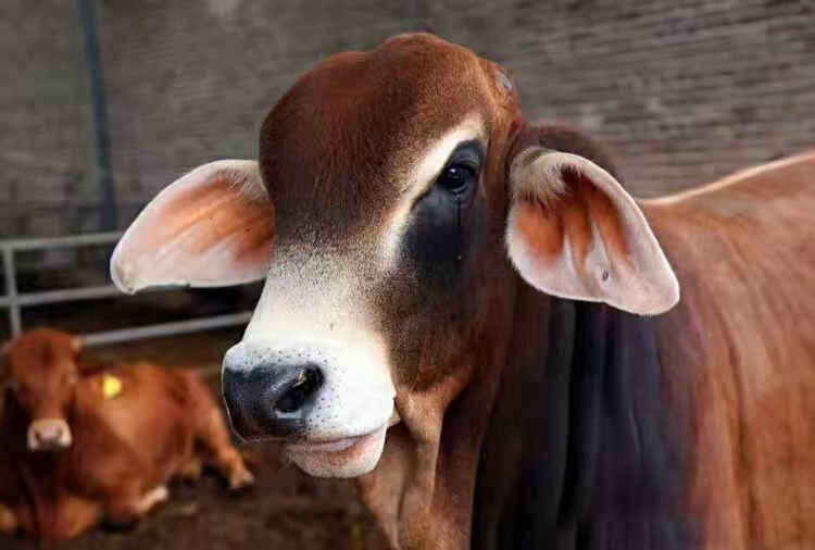 微信图片_20211202171314.jpg 微信图片_20211202171314.jpg