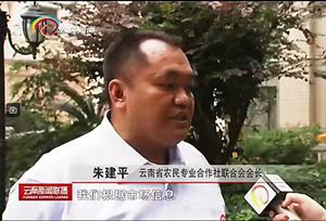 社长朱建平.jpg
