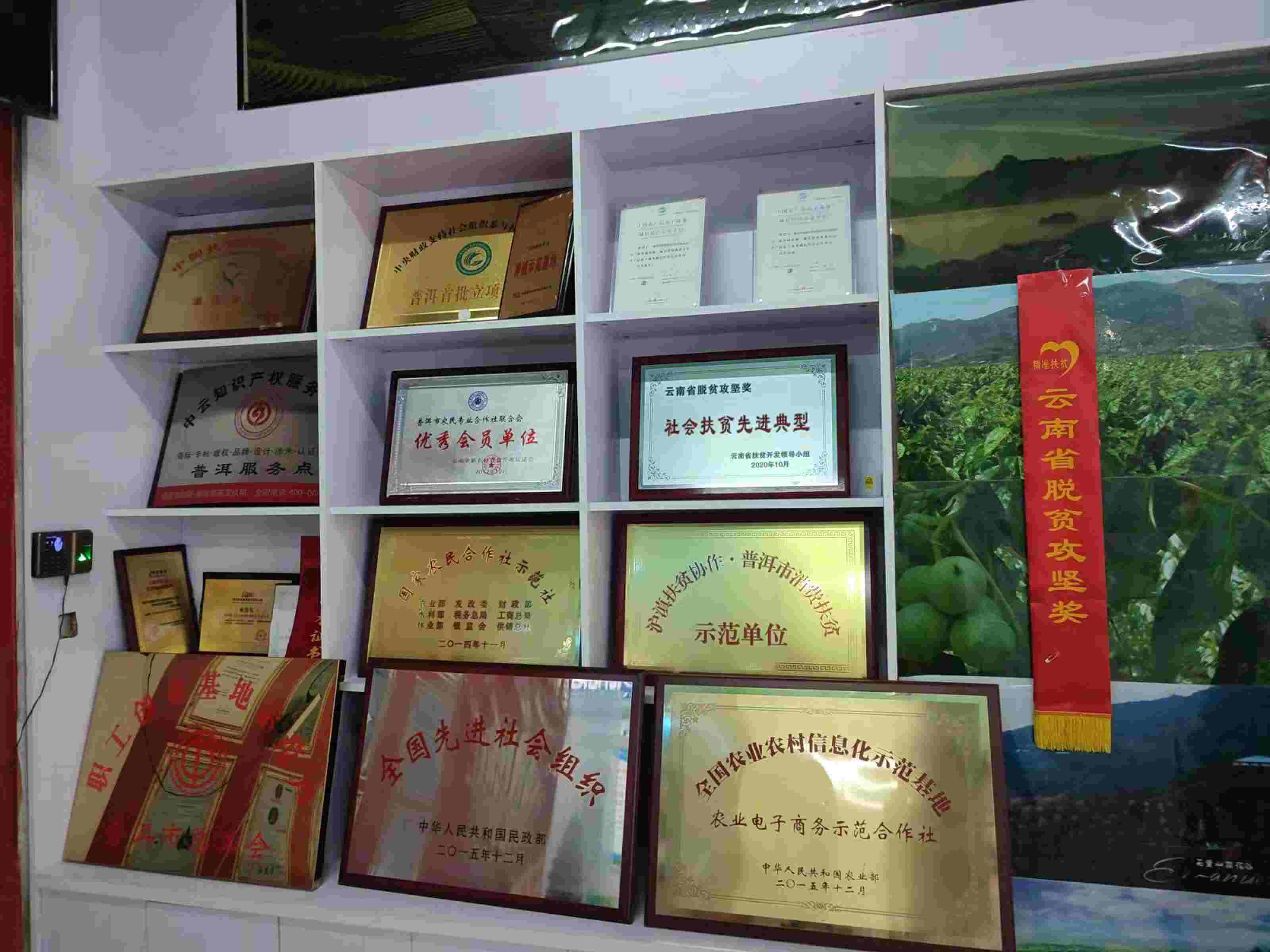 荣誉_new.jpg 荣誉_new.jpg