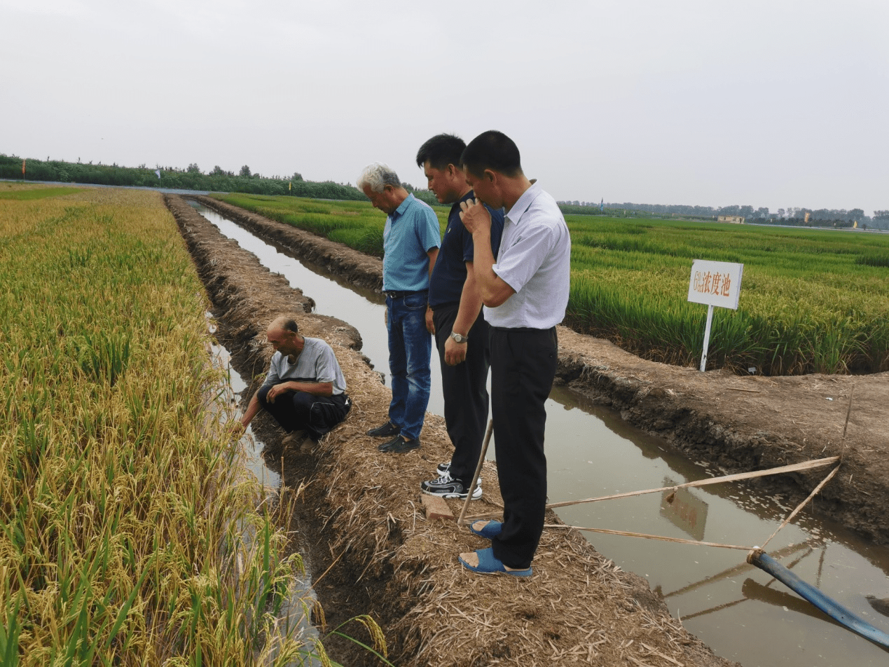 图片3田地_new.png 图片3田地_new.png