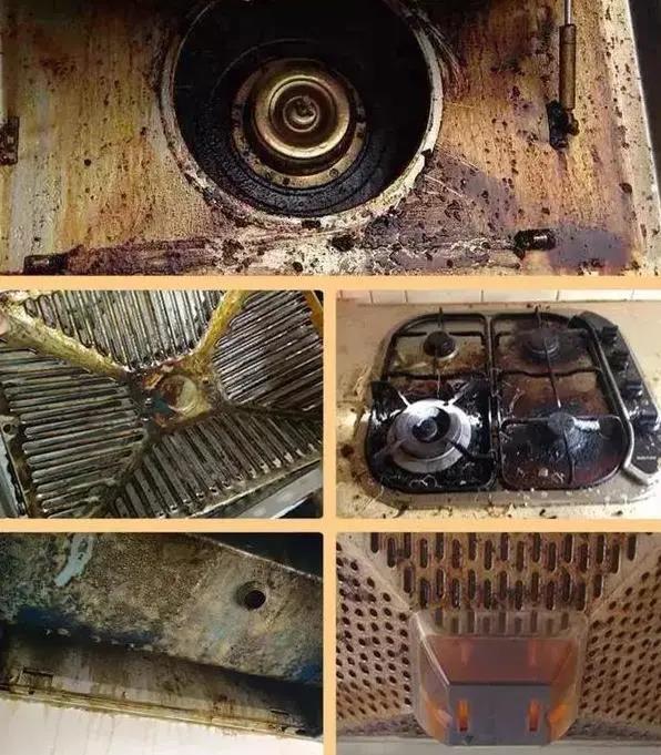 插图二.jpg 插图二.jpg