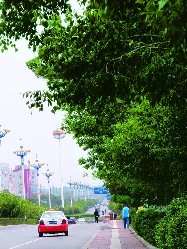 大街生态美.jpg