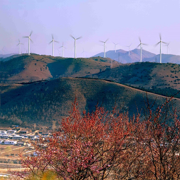 春风  孟晓军.jpg