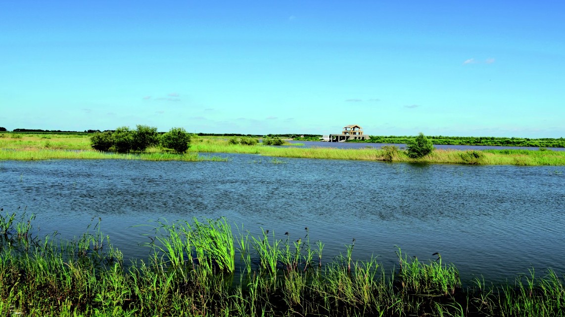 昌图辽河源湿地(1).jpg