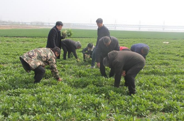 01 - 副本 - 副本 (3).jpg