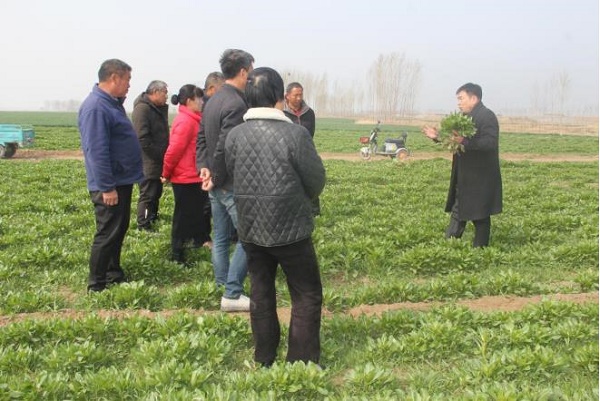 01 - 副本 - 副本 (2).jpg