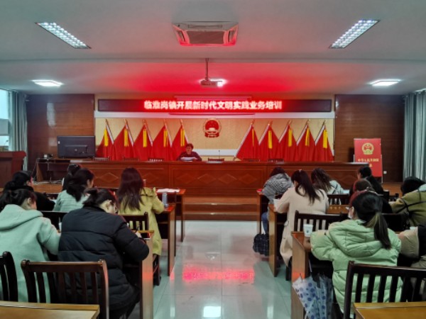 霍邱县临淮岗镇：开展新时代文明实践业务培训 提升志愿服务水平.jpg