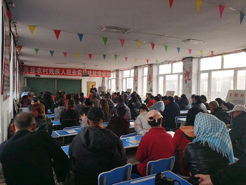 黑龙江省人大代表、黑龙江中朗文化集团董事长 陈嘉.jpg