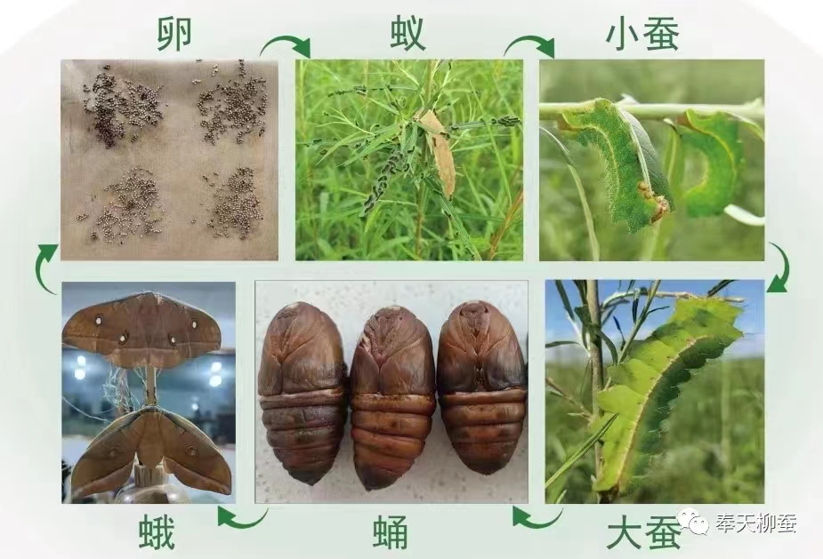 微信图片_202304171019492.jpg 微信图片_202304171019492.jpg