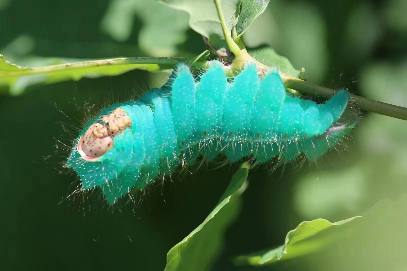 微信图片_202304171019495.jpg 微信图片_202304171019495.jpg