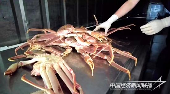 微信图片_20230810193010.jpg?v=1691671345?v=1691671345?v=1691671345?v=1691671345?v=1691671345?v=1691671345