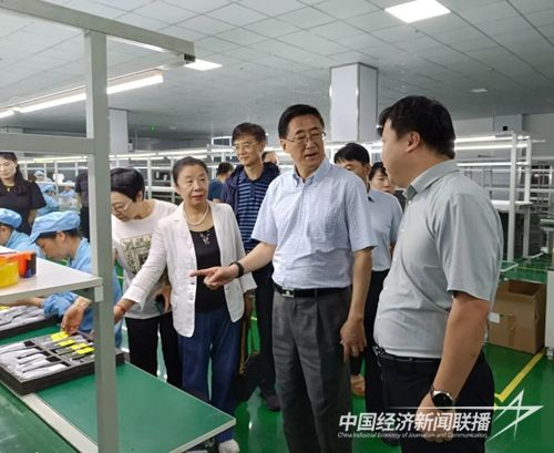 640 (2).jpg?v=1692068066