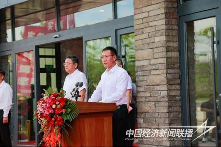 641.jpg?v=1692240802