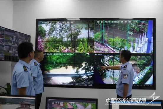 006.jpg?v=1693302088