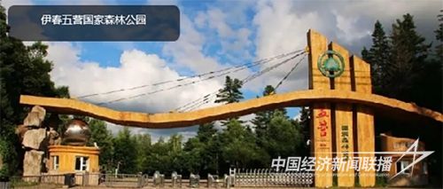 00301507088_49bbc96e.jpg?v=1693914528