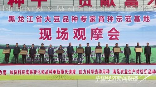 图片2.jpg?v=1695035279