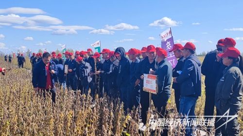 图片3(1).jpg?v=1695035279