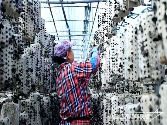 b7093f3ddd66dabcaea10f84bcb7322.jpg?v=1695274819