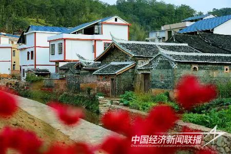 图片8.jpg?v=1695378242