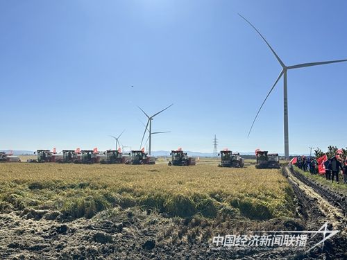 8bb5cab602f5e156dcc95bc844318ed4_.jpg?v=1695476706