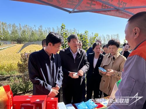 d2a9625deb596c2df590a2de0217cf11_.jpg?v=1695476706