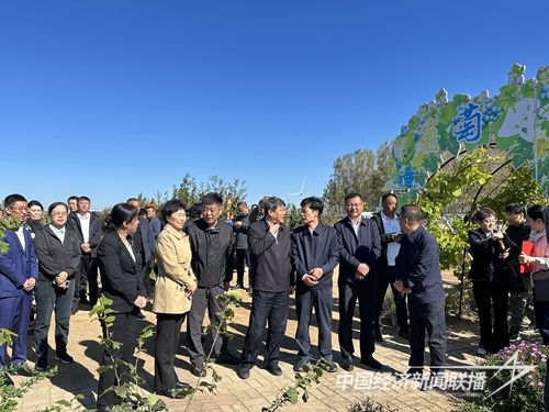 4ab6abd02f95c7ffd863083e54591adf_.jpg?v=1695476706