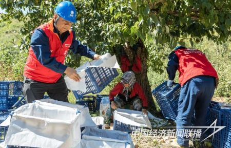 接文直播4).jpg?v=1695564280