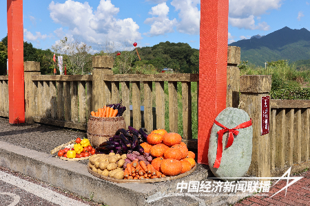 庆丰收 促和美︱福建省2023年中国农民丰收节系列活动在上杭古田启动8.png