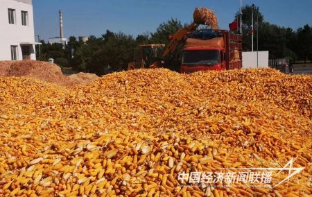 台安丰收3).jpg?v=1695734188