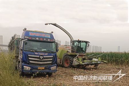 内文标准2.jpg?v=1695812534