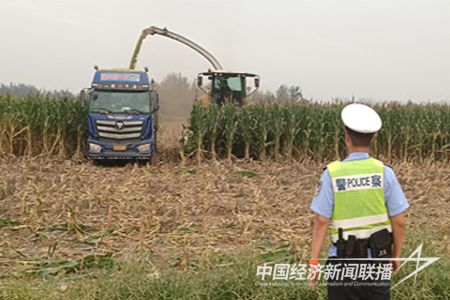 标题标准.jpg?v=1695812534