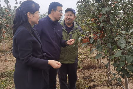 20231009 厦门赴宁夏彭阳科技特派员进村入户开展科技服务1.png