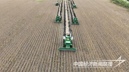 rmwapp_2_202011ecdef21f-4be3-418e-b938-d276b2fb274f.jpg?v=1697195307