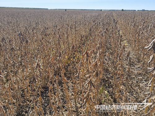 rmwapp_2_202011b91c26a8-c8e1-4863-8e90-fa7ec3d1f048.jpg?v=1697195307