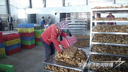 fa2edf049f4b5705f840ecafca559966.jpg?v=1697194907