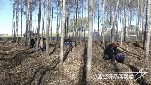 80ba2a2e84ccb764f7ae5b305043af25.jpg?v=1697194907