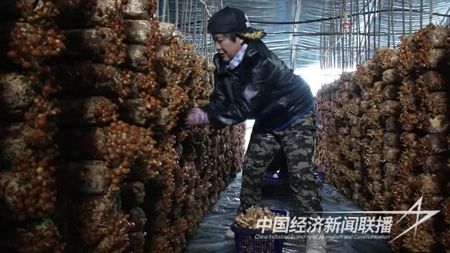 730008b06b503f585979f3036e02e471.jpg?v=1697194907