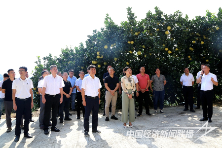 20231016  平和县1.png