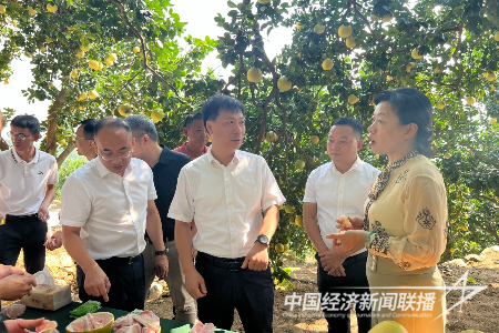 20231016  平和县2.png