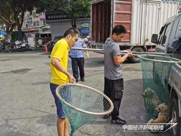 20231020  厦门集美城管4.jpeg