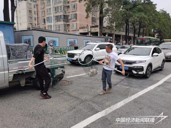 20231020  厦门集美城管5.jpeg