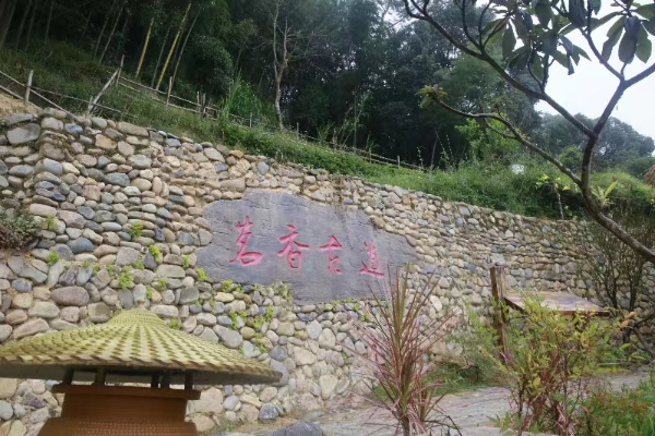 20231023  华安新圩镇7.jpeg