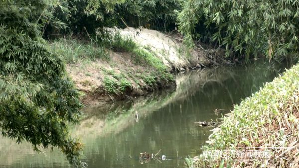 20231023  黑臭水体治理2.jpeg