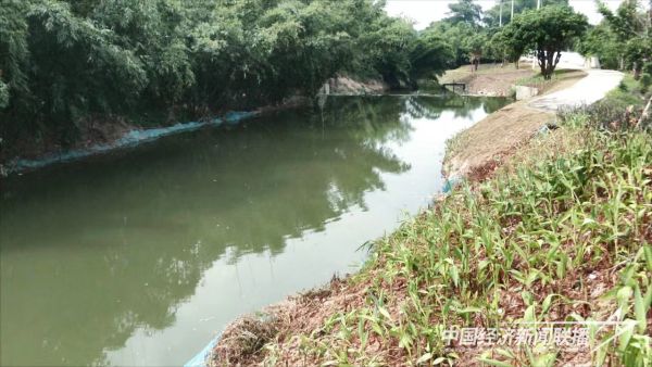 20231023  黑臭水体治理8.jpeg