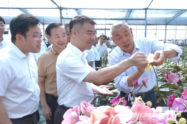 20231026  长泰2.jpg?v=1698313154