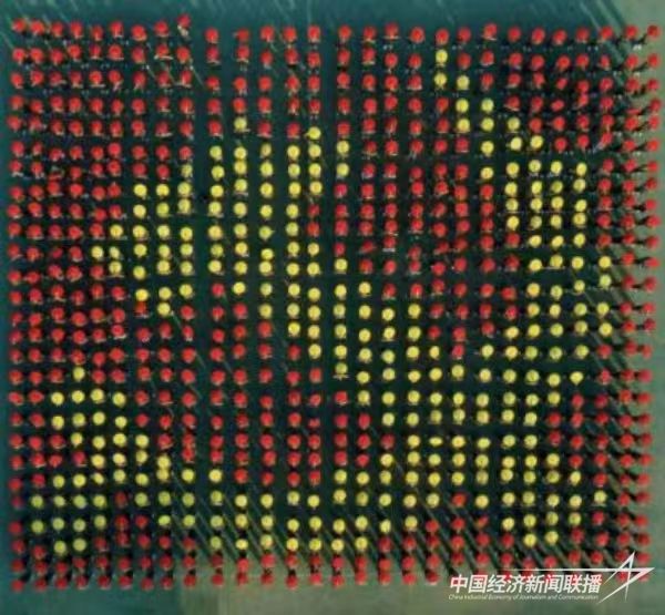 微信图片_20231031115926.jpg?v=1698737263