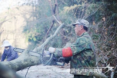 整修公路边树枝.jpg?v=1698820818