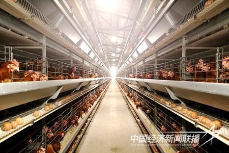 IMG_6206(1)_proc.jpg?v=1698815726