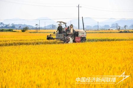 20231102cc520e0e69de521b9b8f9f85970d654f.jpg?v=1698932441