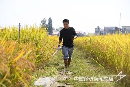 2023110234f64e972c7a83d225719be1945eb5be.jpg?v=1698932441